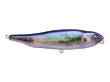 Megabass Giant Dog X Walking Bait
