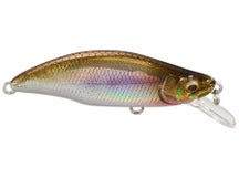 Megabass Great Hunting GH46 FS Humpback 