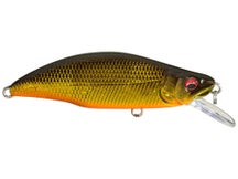 Megabass Great Hunting GH51 FS Humpback 