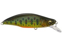 Megabass Great Hunting GH51 FS Humpback 