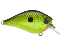 MONSTERBASS Little Banger