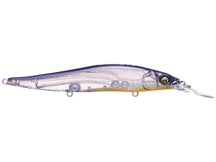 Vision 110+1 GP Kikyou