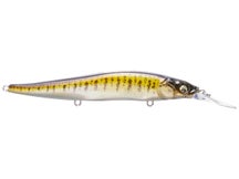 Vision 110+1 SG Smallmouth Bass