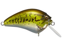 Megabass IXI Blowly Crankbait 