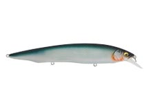 Megabass Kanata Mat Blue Shiner
