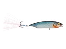 Megabass Karashi Mat Blue Shiner