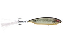 Megabass Karashi MG Tora Kinkuro
