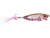 Megabass Pop Max GP Sakura Illusion