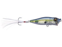 Megabass Pop X Popper 