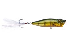 Megabass Pop X Popper 