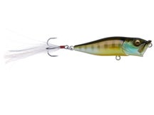 Megabass Pop X Popper 