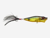 Megabass Pop X Gin Tonic Tiger