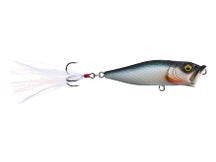 Megabass Pop X Mat Blue Shiner