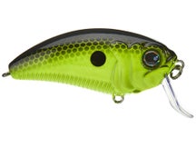Monster Bass Super Freak