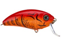 Monster Bass Super Freak