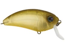 MONSTERBASS Super Freak