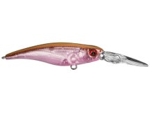 Megabass Shading-X R 62 Crankbaits