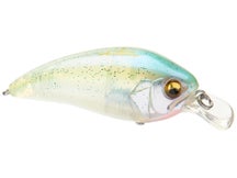 Megabass Super-Z Z1 GLXS Spring Reaction
