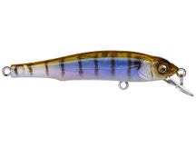 Megabass X-70 BFS Jerkbait