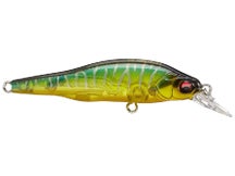 Megabass X-80 Jr. Gin Tonic Tiger
