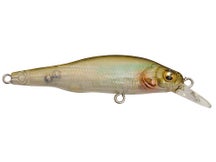 Megabass X-80 Jr. BFS Jerkbait 