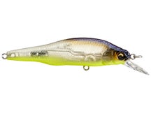 X-80 Trick Darter TLC