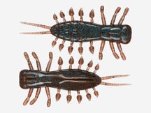 Megabass Yagot 4pk