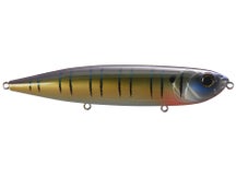 6th Sense Magnum Catwalk Topwater