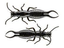 Max4 Fishing Earwig 