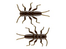 Max4 Fishing Stonefly 