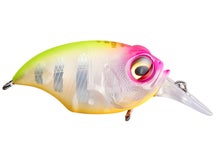 Megabass Griffon SR-X IF Hachiro