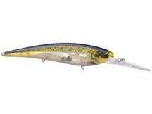 6th Sense Masterclass Jerkbait 107DD Hasu