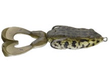 Molix Supernato Frog R Baby