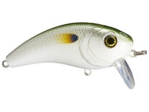 6th Sense Movement 60 WK Saltwater Wakebait