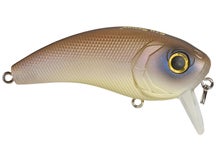 6th Sense Movement 60 WK Saltwater Wakebait