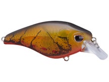 Nomad Design Atlas 70 Squarebill Crankbait