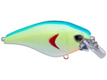 Nomad Design Atlas 55 Squarebill Crankbait