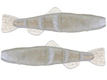 NetBait BaitFuel Swimming Minnow Trailer