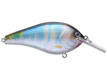 Nories Complete Flat 68 Squarebill Crankbait