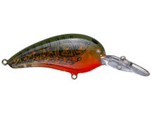 Norman Deep Baby N Crankbait