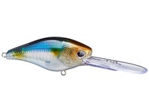 Nomad Design D-Trak 65 Crankbait