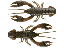 Nikko Fishing Nikko Craw 4pk