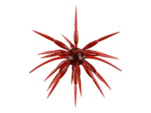 Nako Shikaku 17mm Urchin