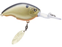 Nishine Baby Chippawa DD Blade Black Back Gold