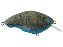Nishine Chippawa RB Brown Craw Fish