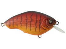 Nishine Chippawa RB Matte Orange Tiger