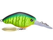 Nishine Chippawa RB DD Matte Hot Tiger