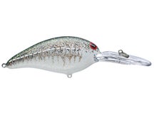 Norman Deep Little N Crankbait