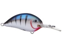 Northland Tackle Rumble Bug Blue Tiger