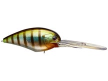 OSP Blitz Magnum EX DR Crankbait